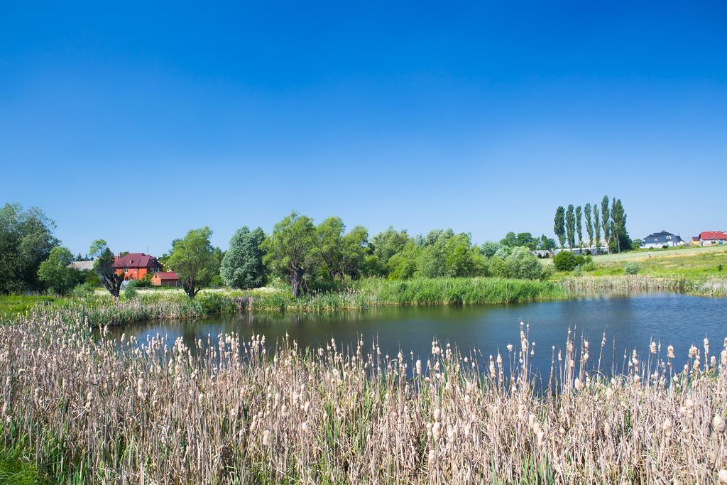 Zloty Staw Bed & Breakfast Borkowo  ภายนอก รูปภาพ